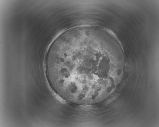 X0000063470859200602101739