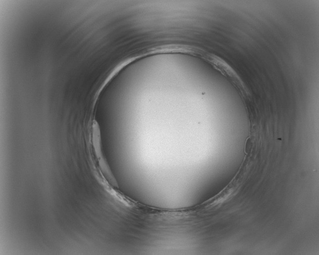 X0000063470860200602101739