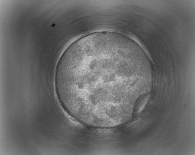 X0000063470861200602101739