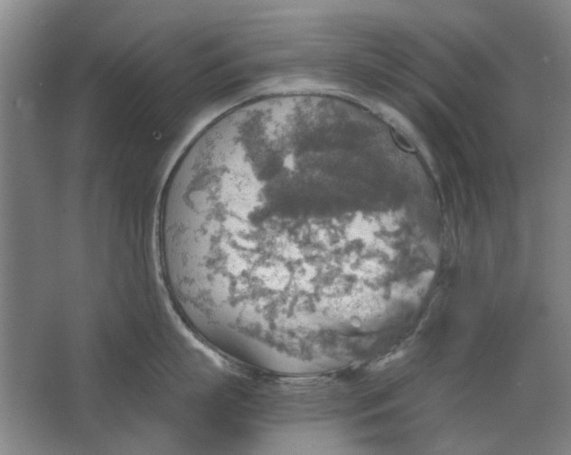 X0000063470863200602101739