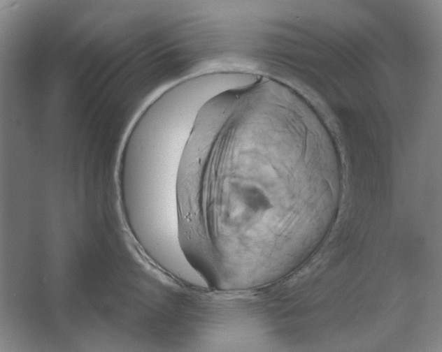 X0000063470864200602101739