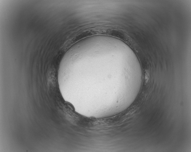 X0000063470867200602101738