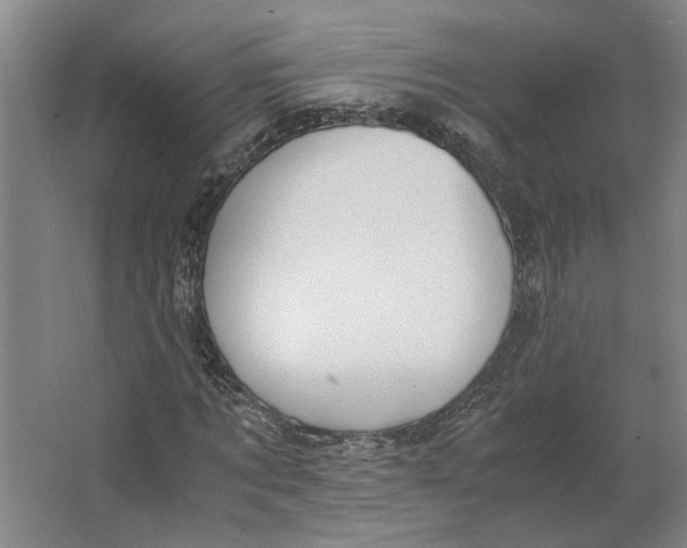 X0000063470869200602101738