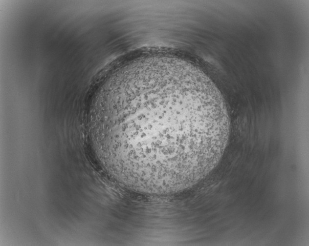 X0000063470870200602101738