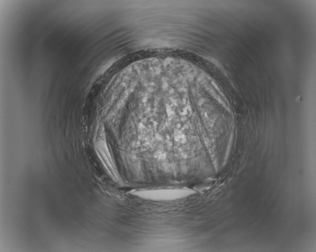 X0000063470871200602101738