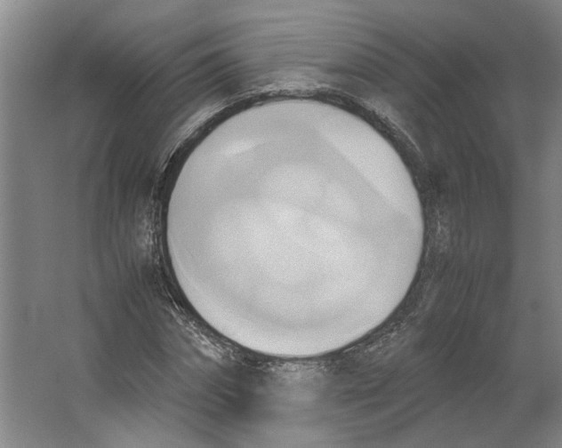 X0000063470874200602101738