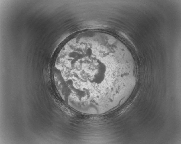 X0000063470875200602101738