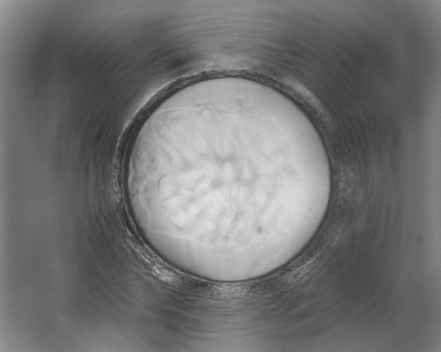 X0000063470878200602101738