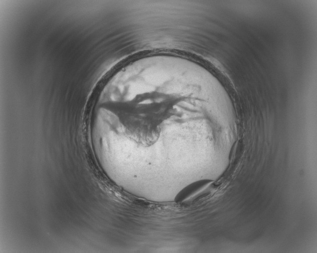 X0000063470879200602101738