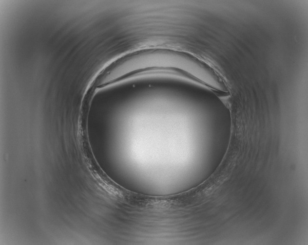 X0000063470880200602101738