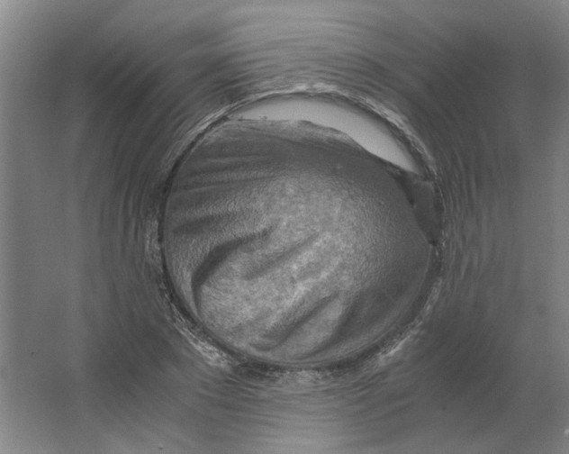 X0000063470881200602101738