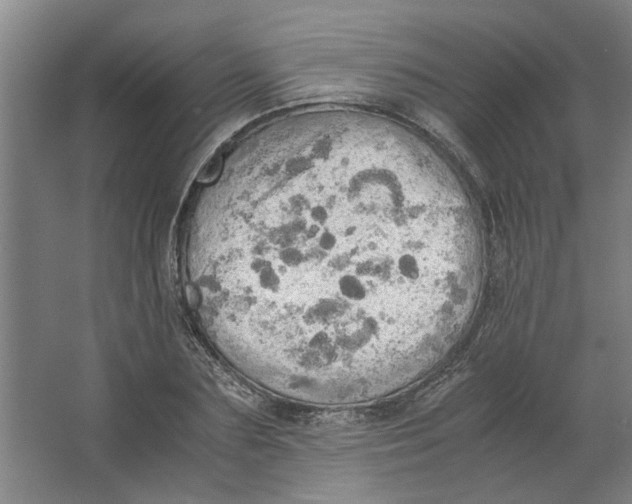 X0000063470883200602101737