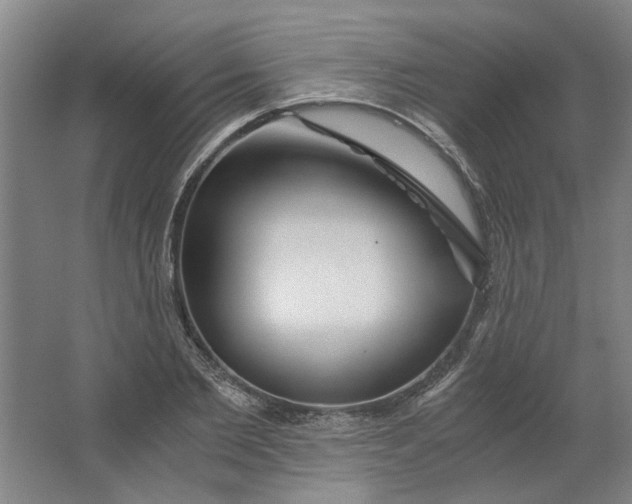 X0000063470885200602101737