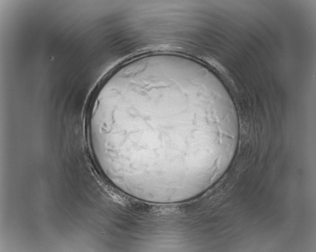 X0000063470886200602101737