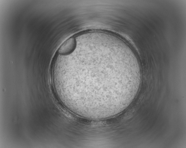 X0000063470887200602101737