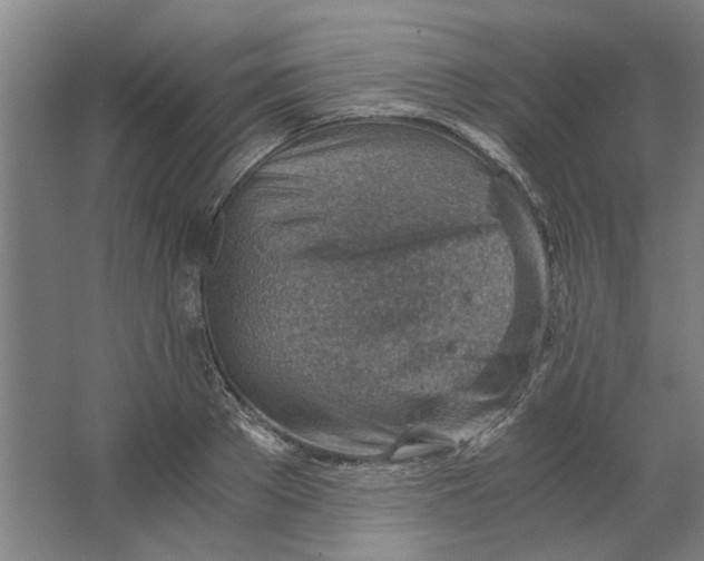 X0000063470889200602101737