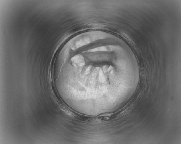 X0000063470891200602101737