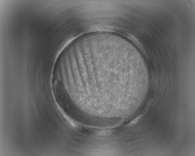 X0000063470893200602101737