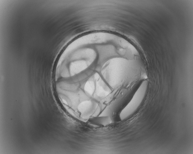 X0000063470895200602101737