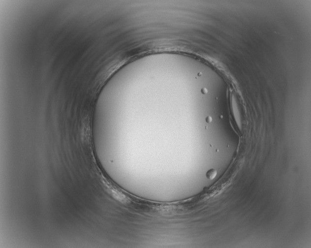 X0000063470897200602101737