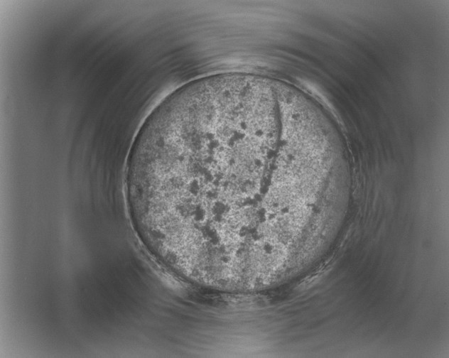 X0000063470899200602101737