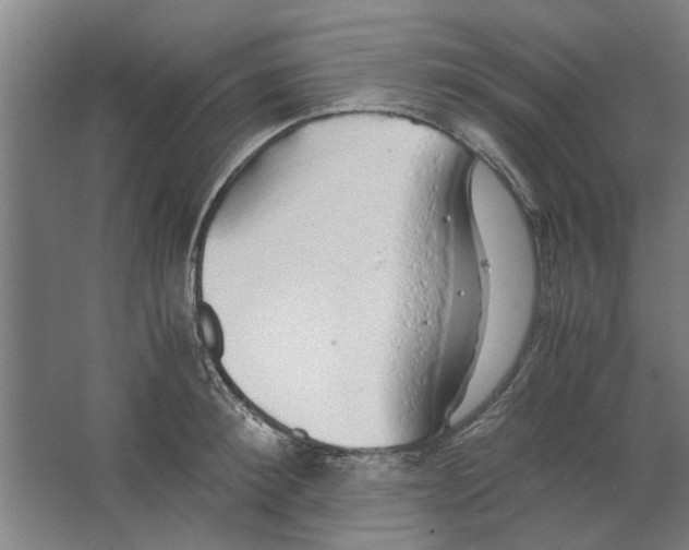 X0000063470900200602101737