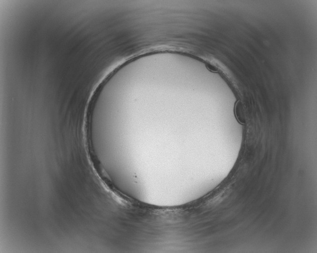 X0000063470902200602101737