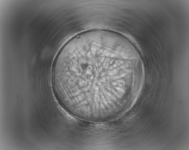 X0000063470903200602101737