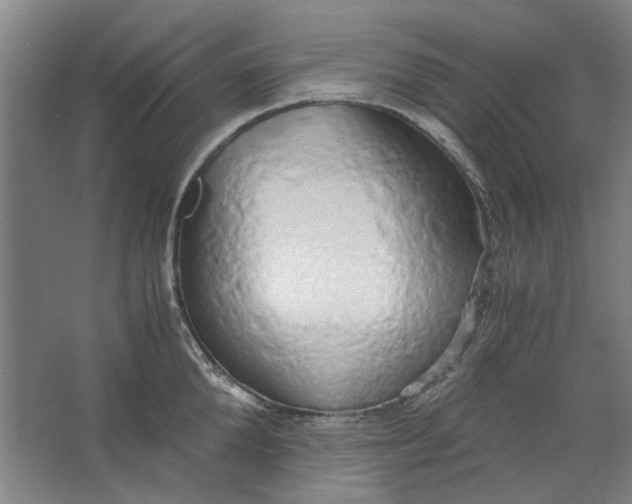 X0000063470904200602101737