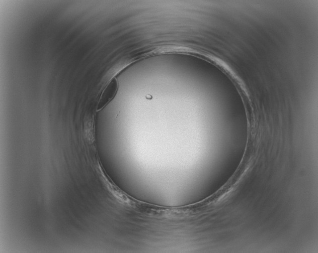 X0000063470905200602101737