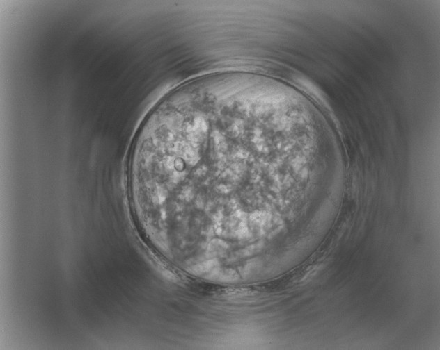 X0000063470907200602101737