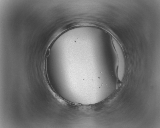 X0000063470909200602101737