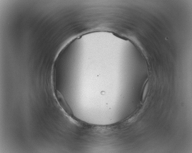 X0000063470910200602101737