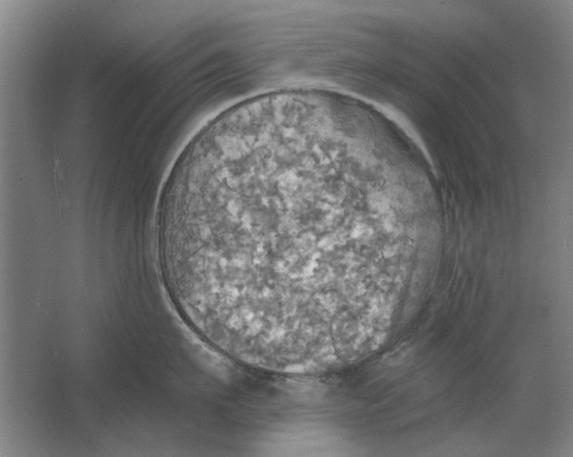 X0000063470911200602101737