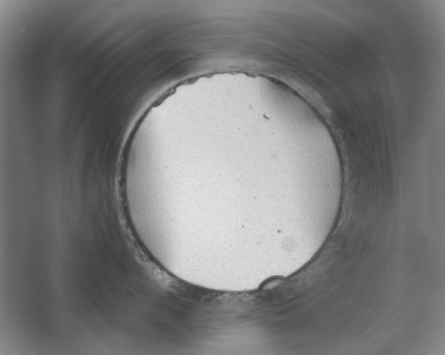 X0000063470912200602101737