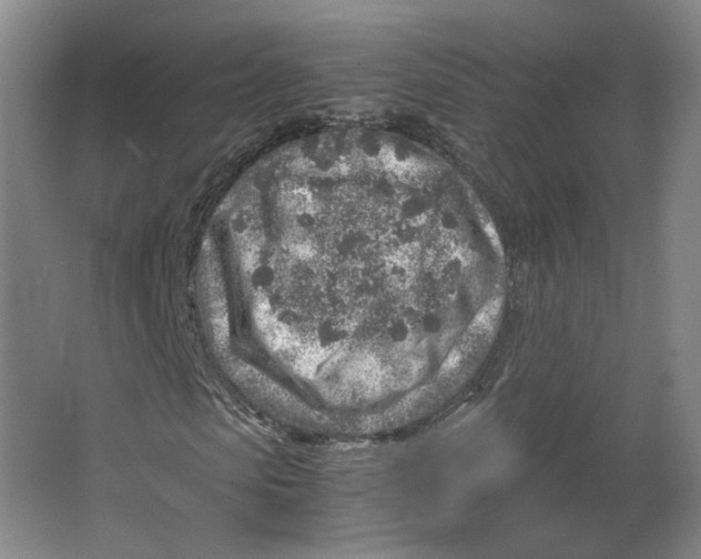 X0000063470913200602101736