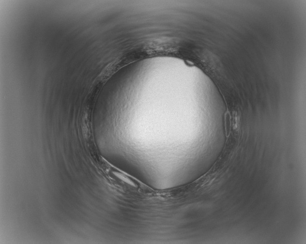 X0000063470915200602101736