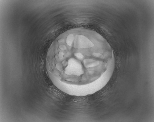 X0000063470917200602101736