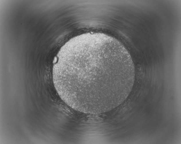 X0000063470918200602101736