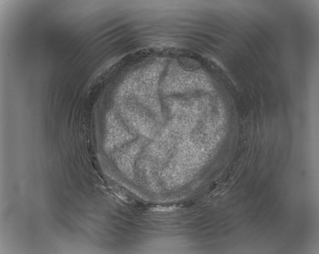 X0000063470919200602101736