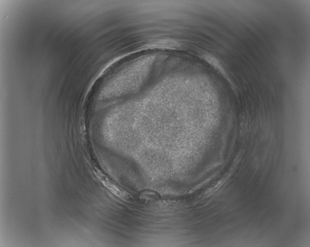 X0000063470923200602101736