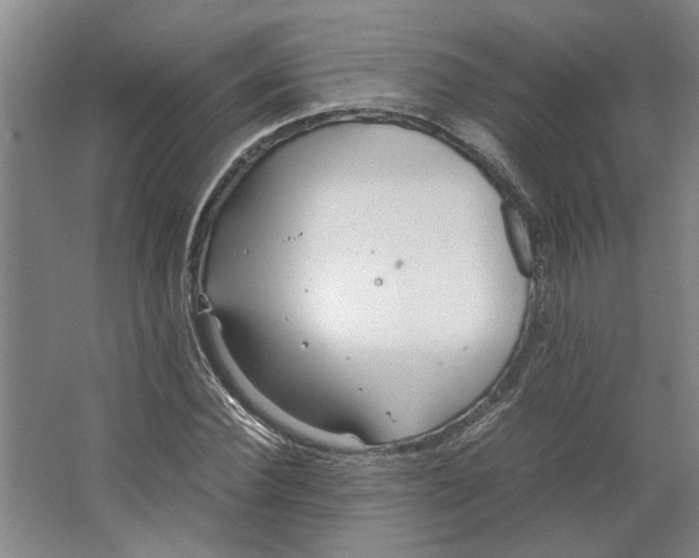 X0000063470924200602101736