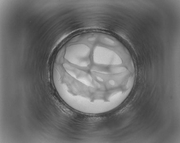 X0000063470925200602101736