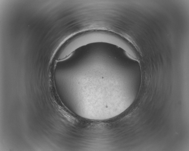 X0000063470926200602101736