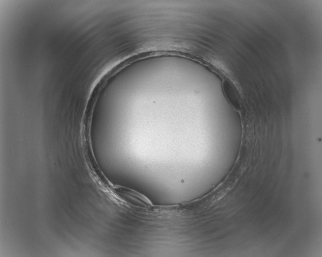 X0000063470928200602101736