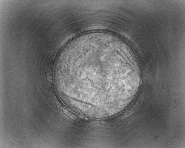 X0000063470929200602101736