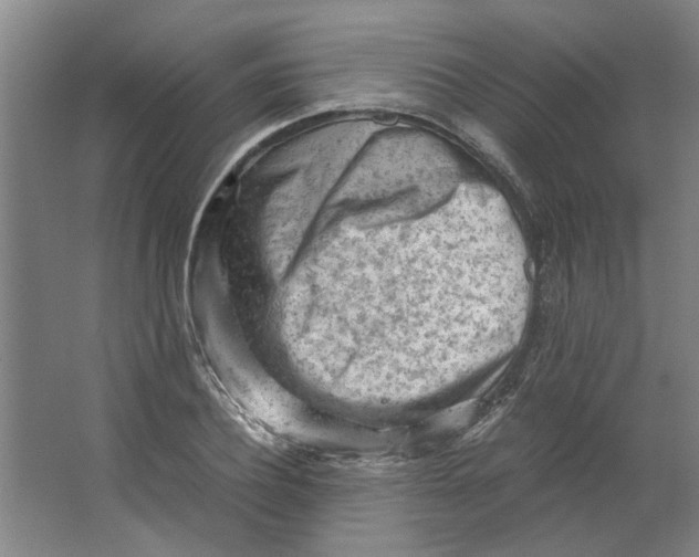 X0000063470932200602101737