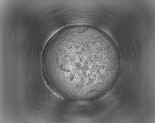 X0000063470933200602101737