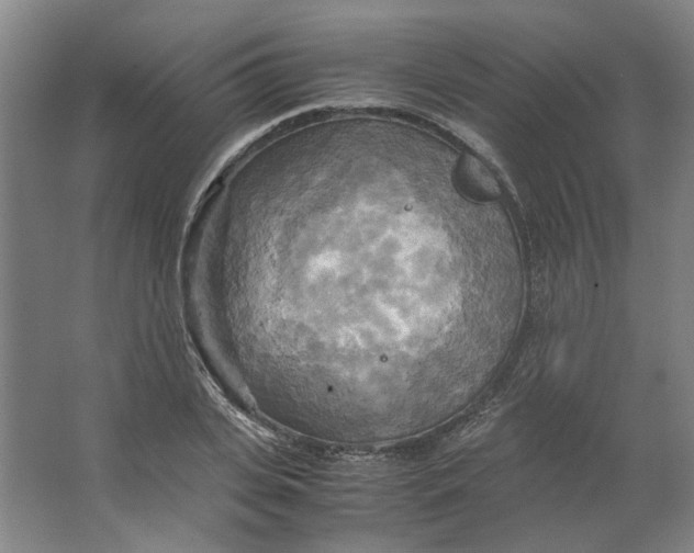 X0000063470935200602101737