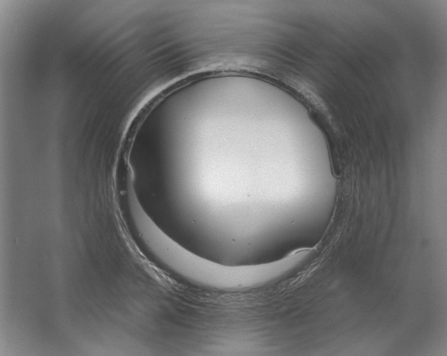 X0000063470936200602101737